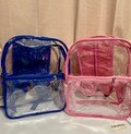 12 Inch Custom Clear Backpack